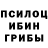 Галлюциногенные грибы мицелий Derlov Defir