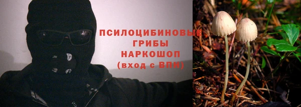 прущий лед Бородино