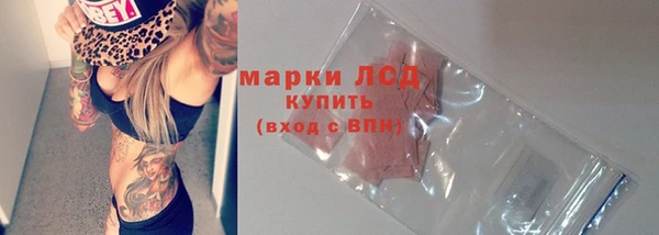 прущий лед Бородино