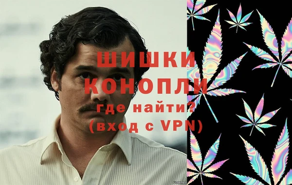 ГАЛЛЮЦИНОГЕННЫЕ ГРИБЫ Бронницы
