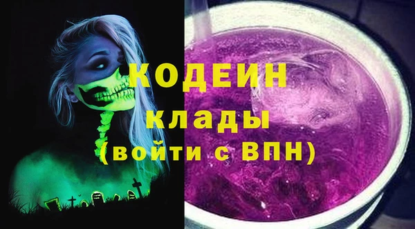 прущий лед Бородино