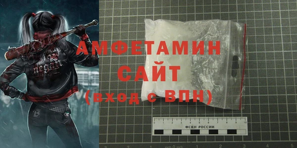прущий лед Бородино