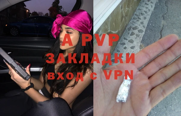 прущий лед Бородино