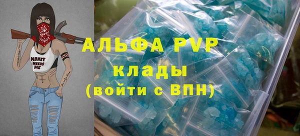 прущий лед Бородино