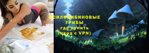ГАЛЛЮЦИНОГЕННЫЕ ГРИБЫ Бронницы